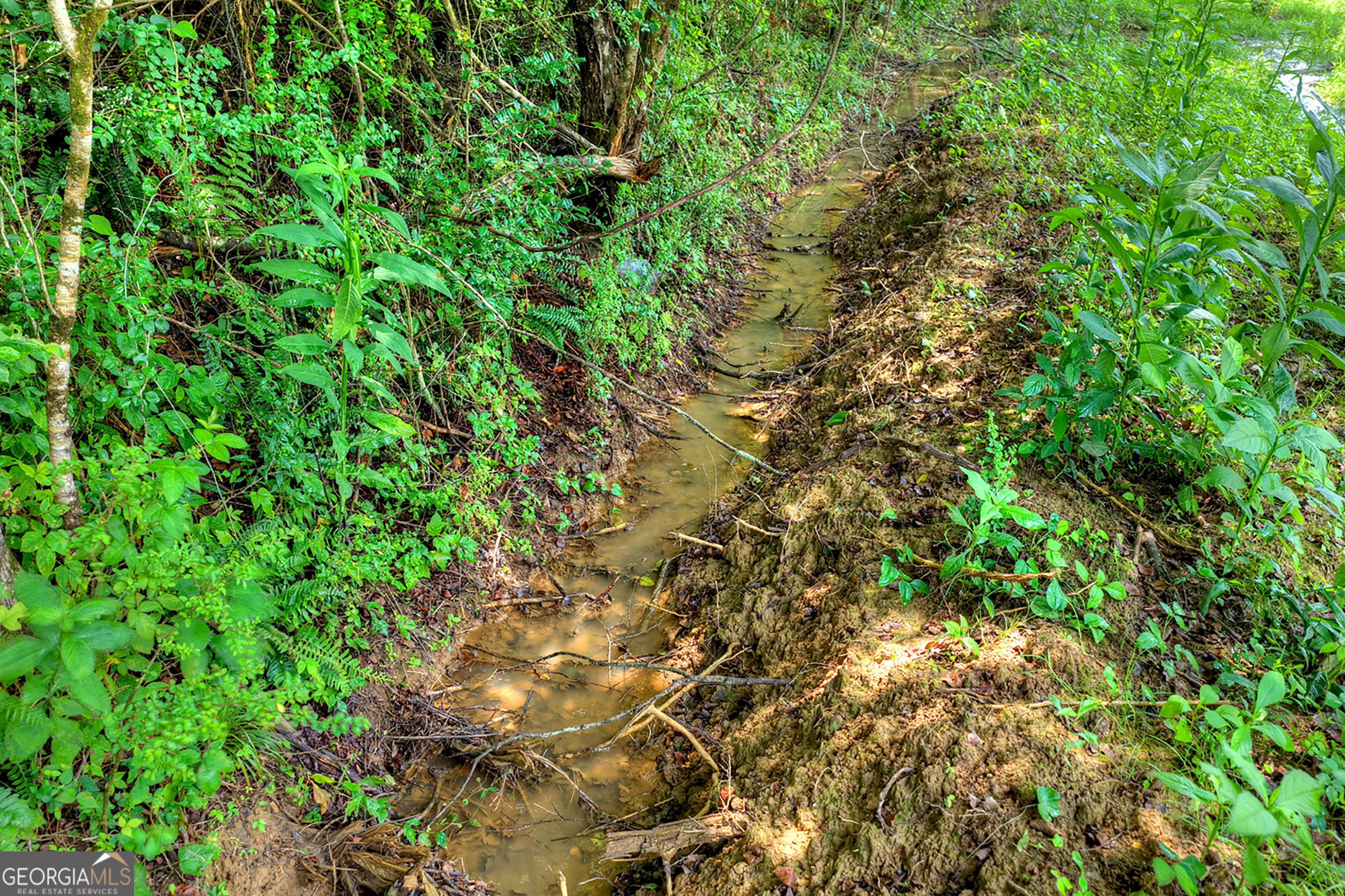 2125 Shady Grove Property Photo 48