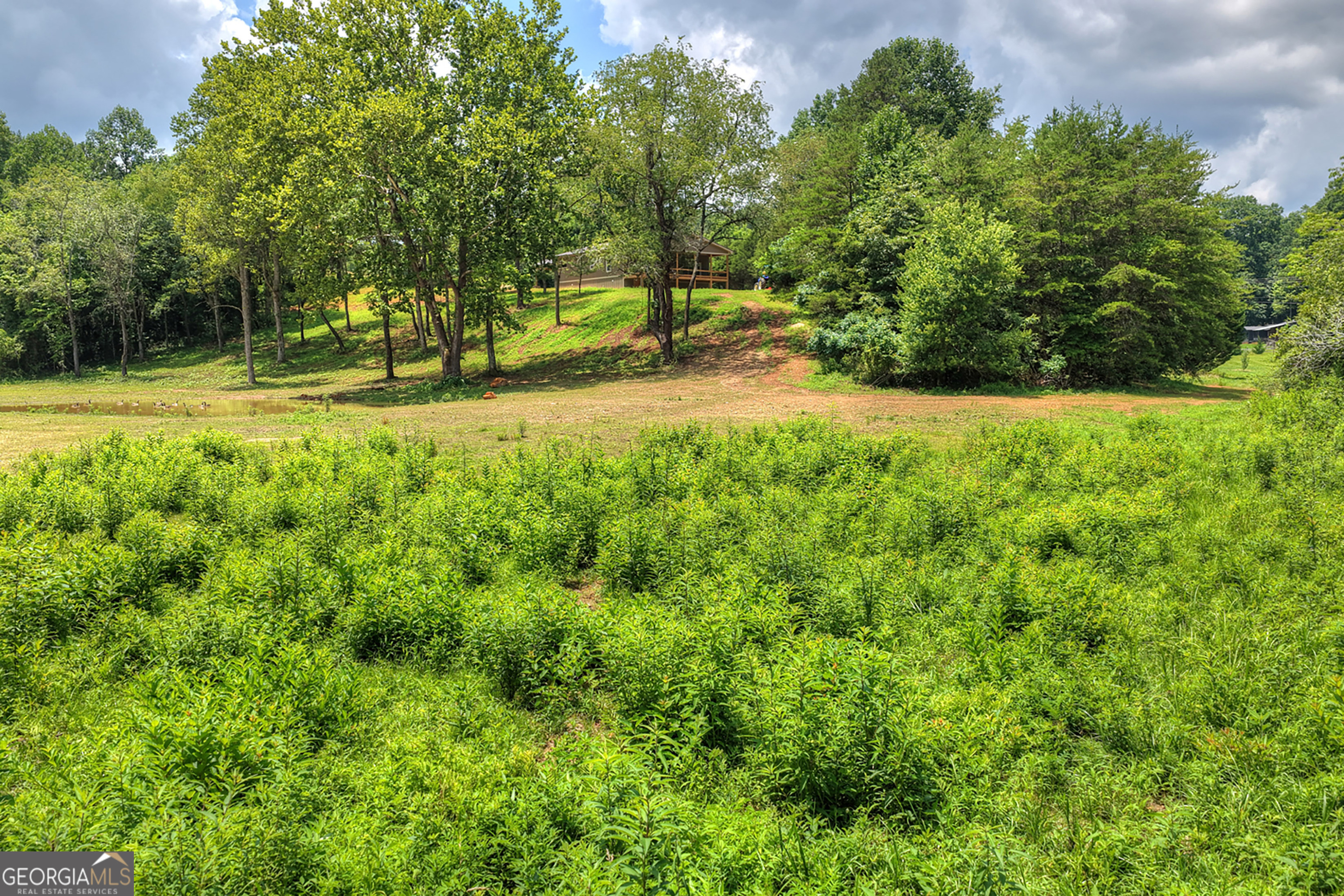 2125 Shady Grove Property Photo 49