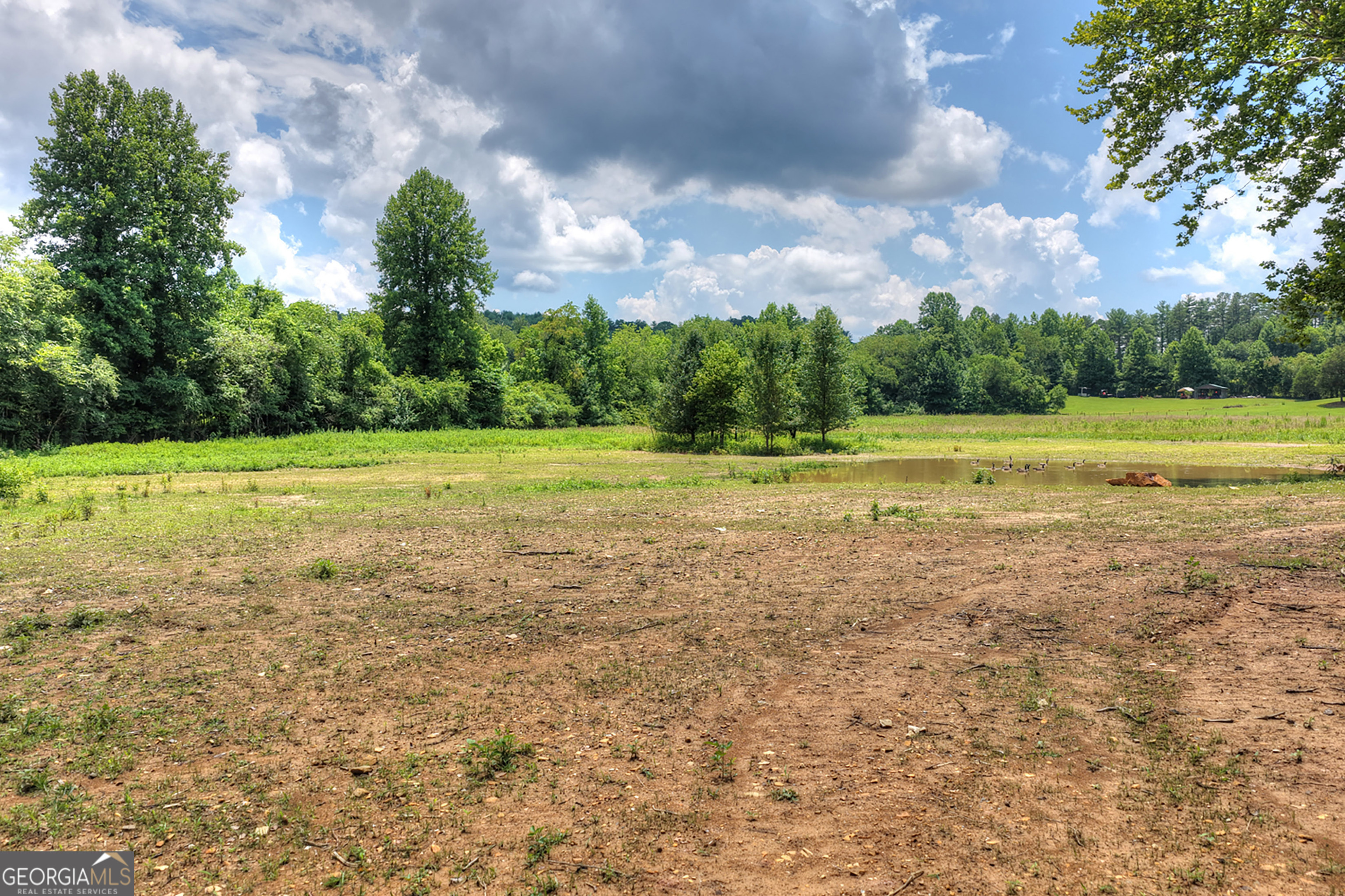 2125 Shady Grove Property Photo 50