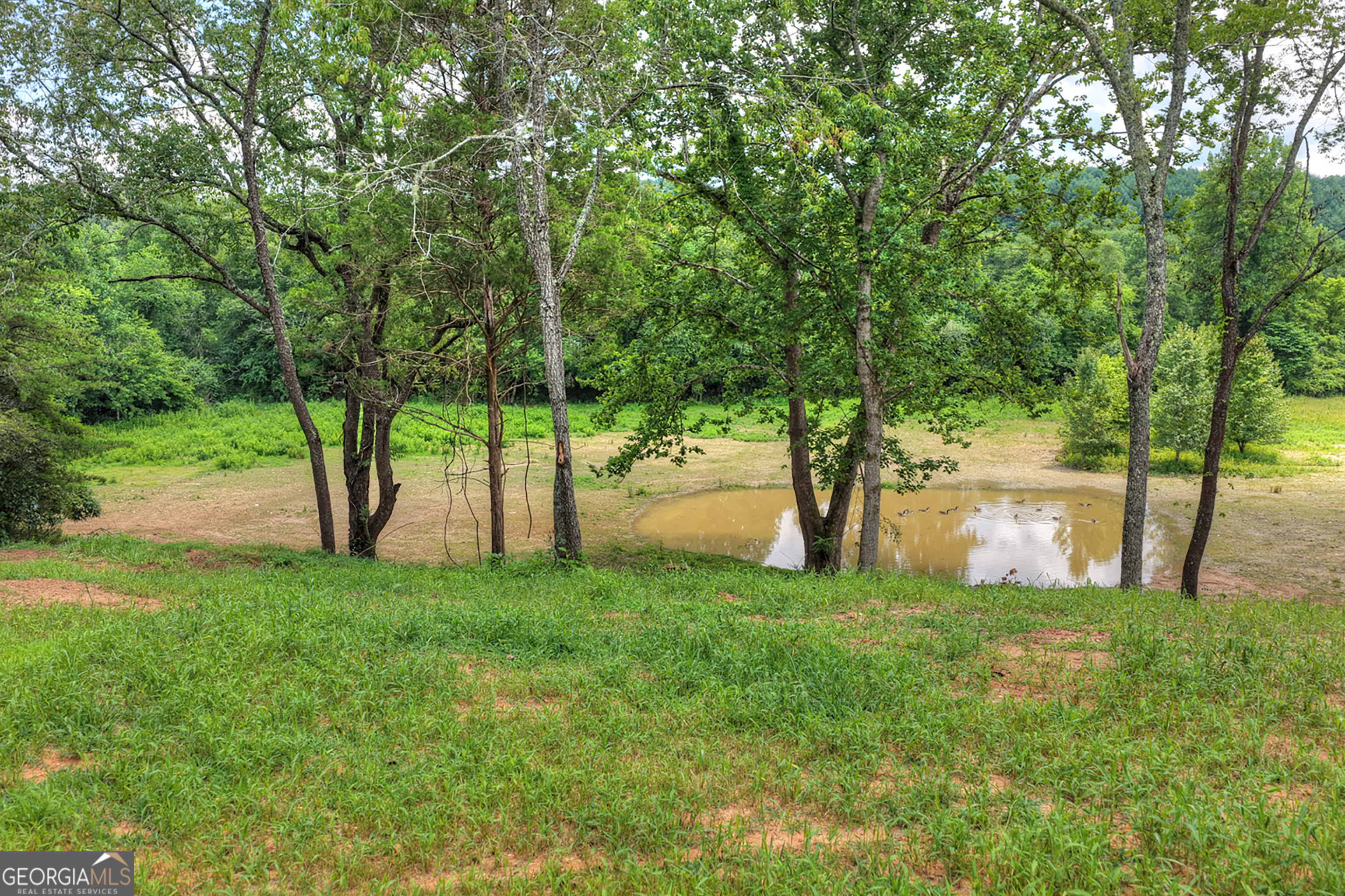 2125 Shady Grove Property Photo 51