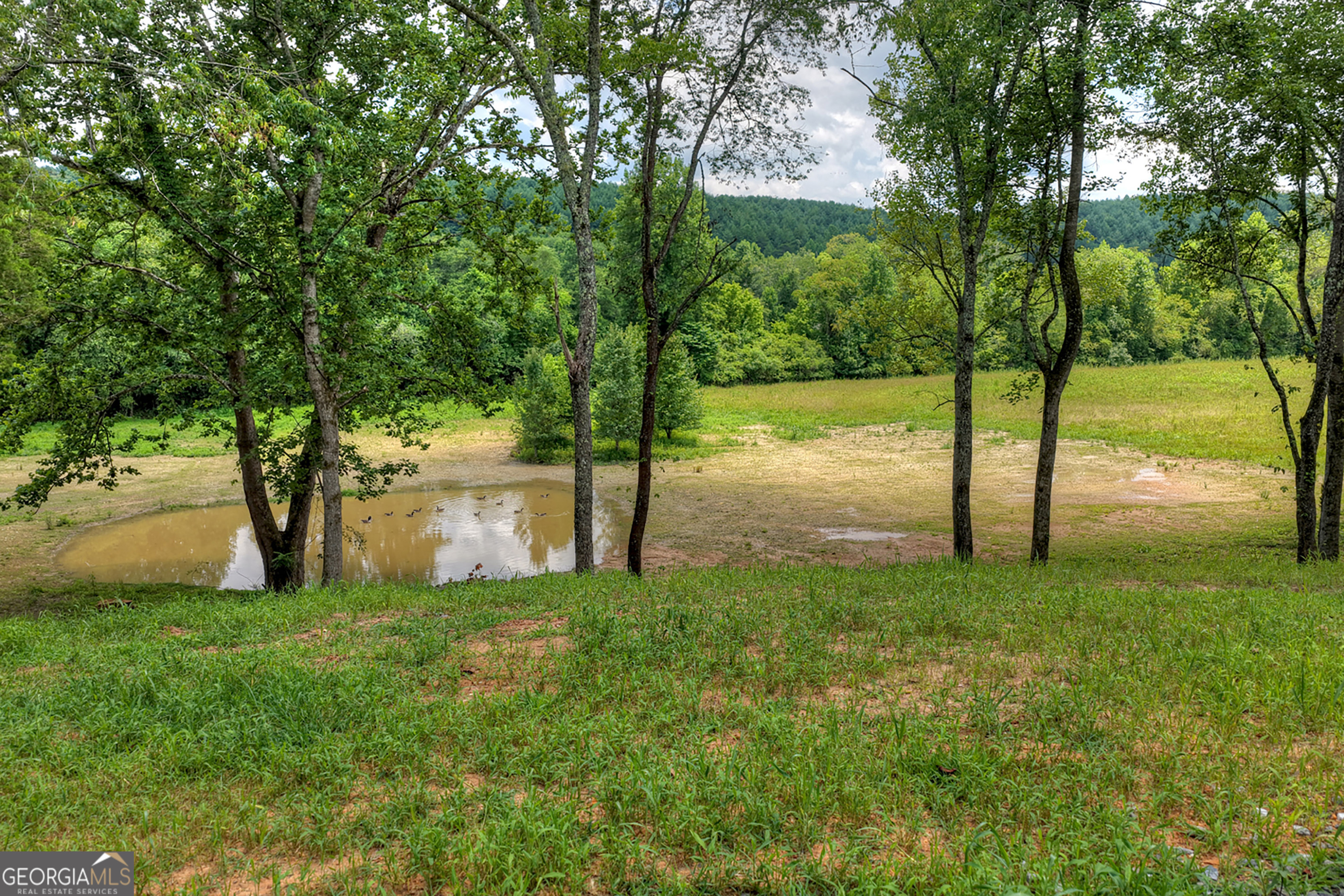 2125 Shady Grove Property Photo 52
