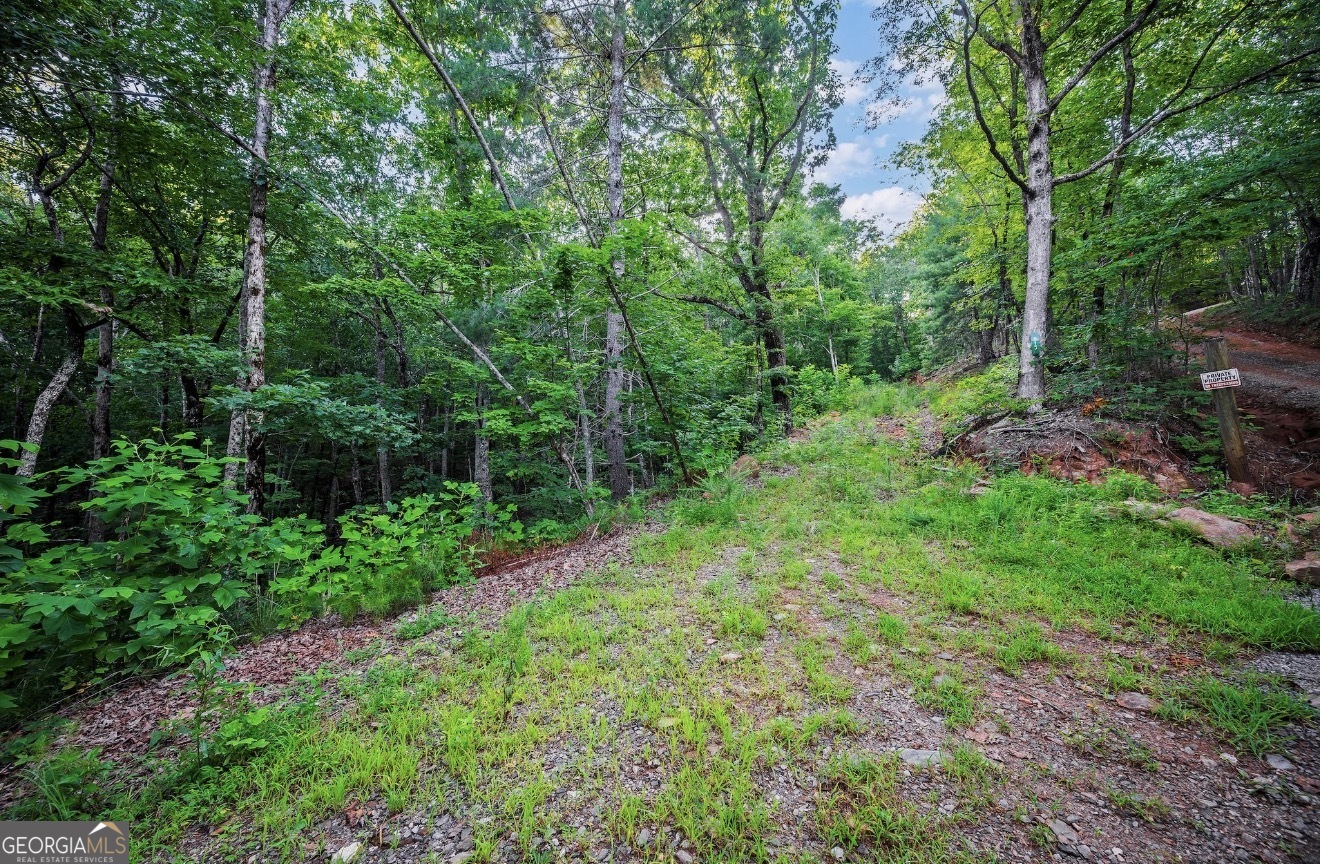 LT 760 Morton Drive