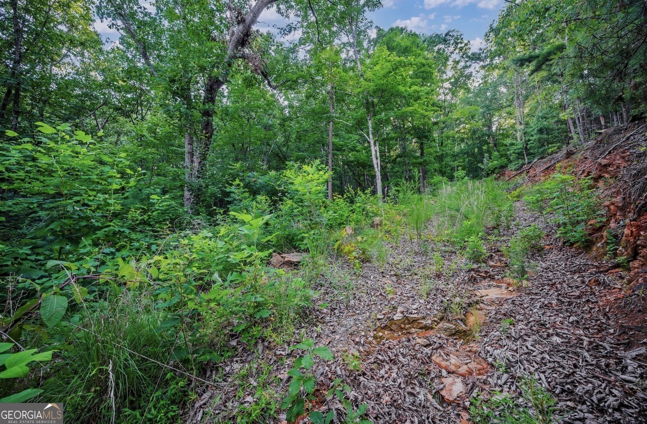 Lt 760 Morton Drive Property Photo 2