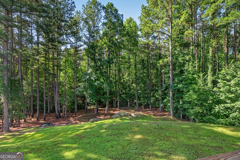 93 Grace Arbor Lane Property Photo 46