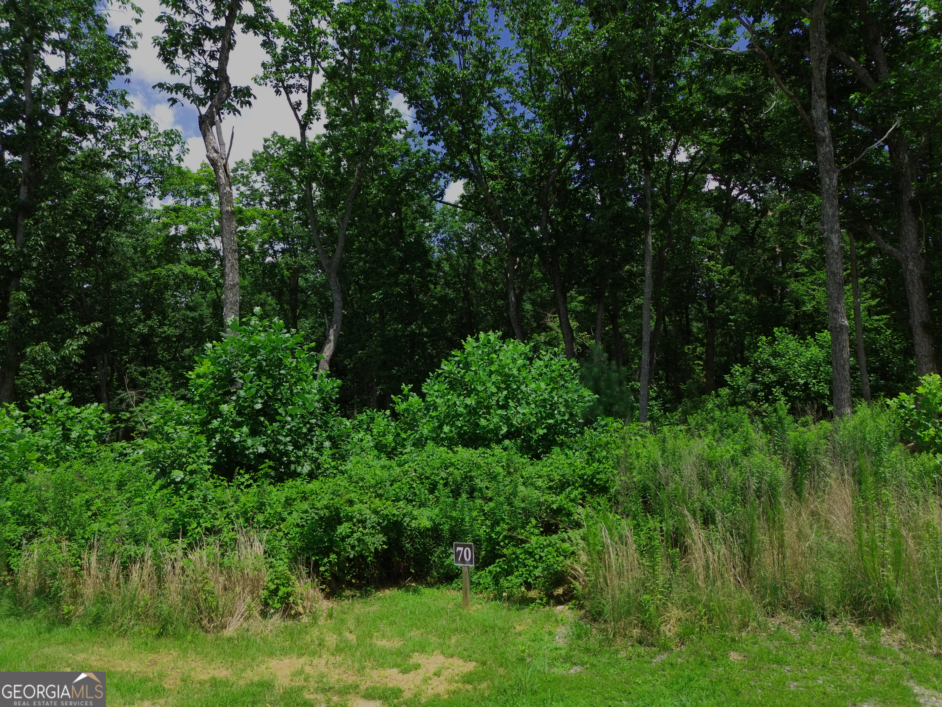 Lot 70 High Summit Drive Property Photo 2