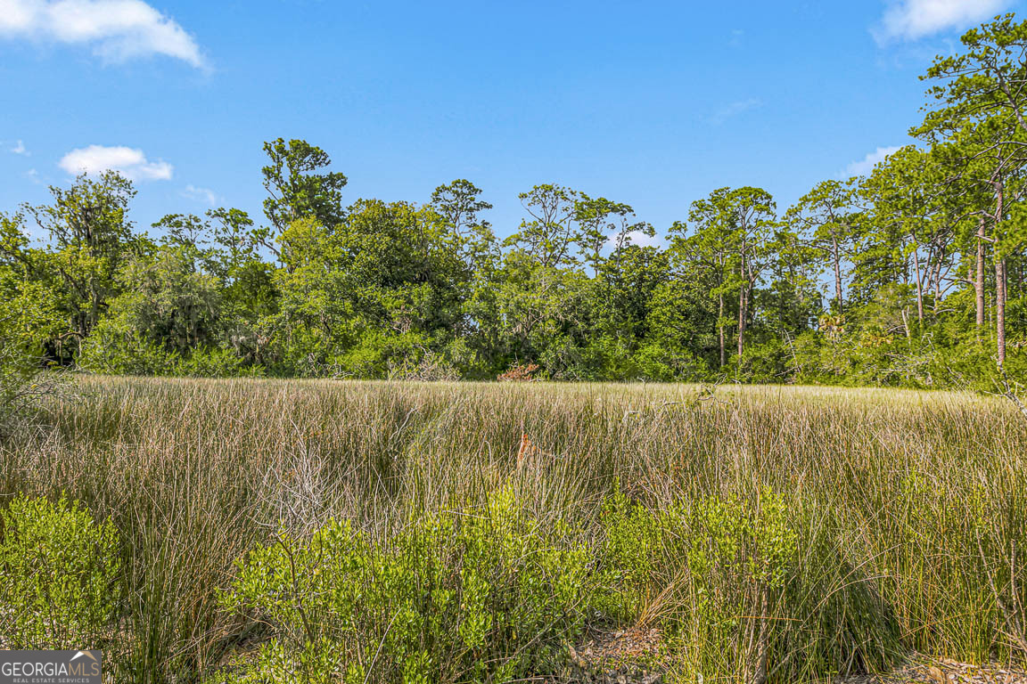 122 Shore Rush Drive Property Photo 45