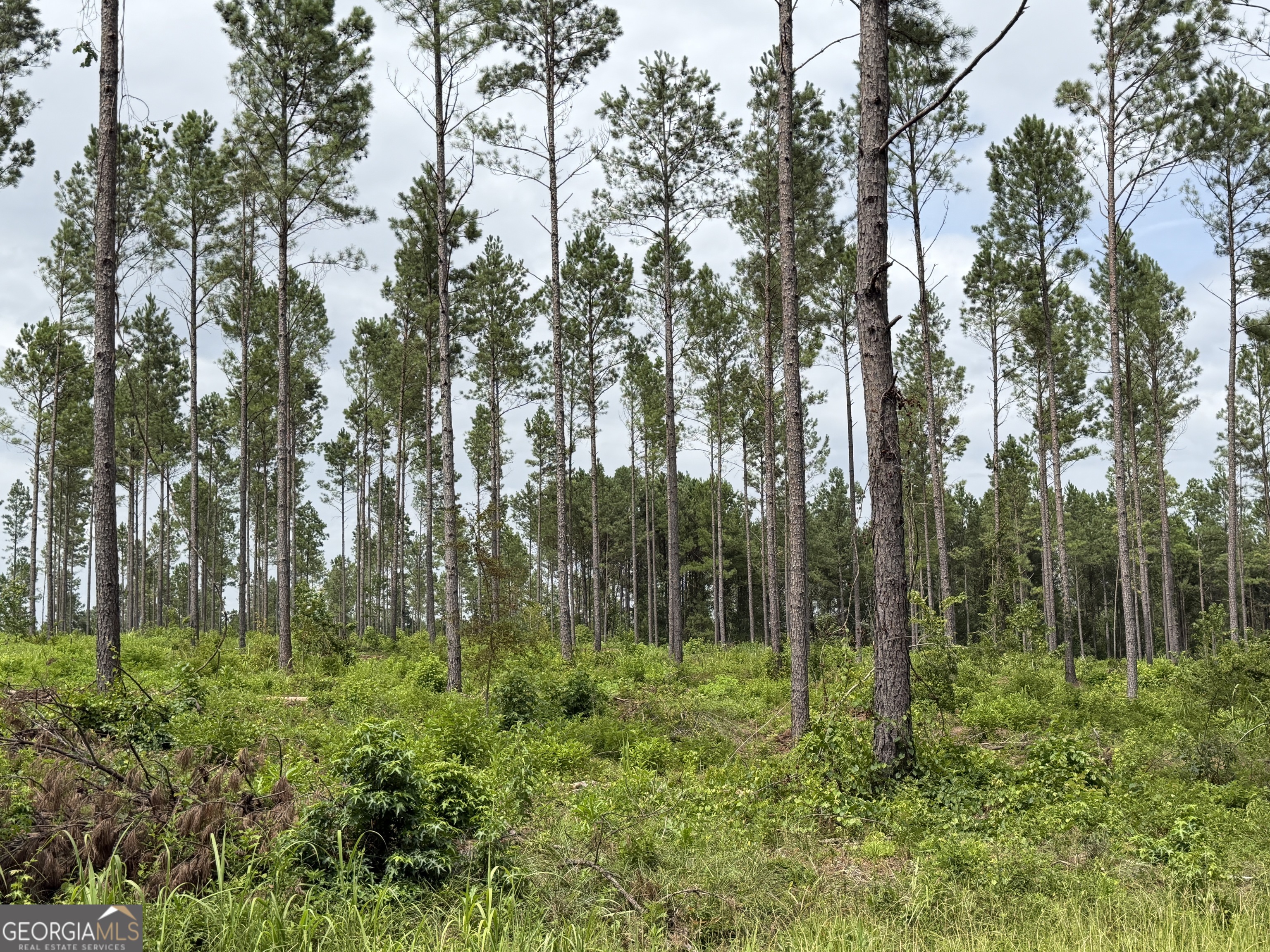 005 Old Monticello Road Property Photo 1