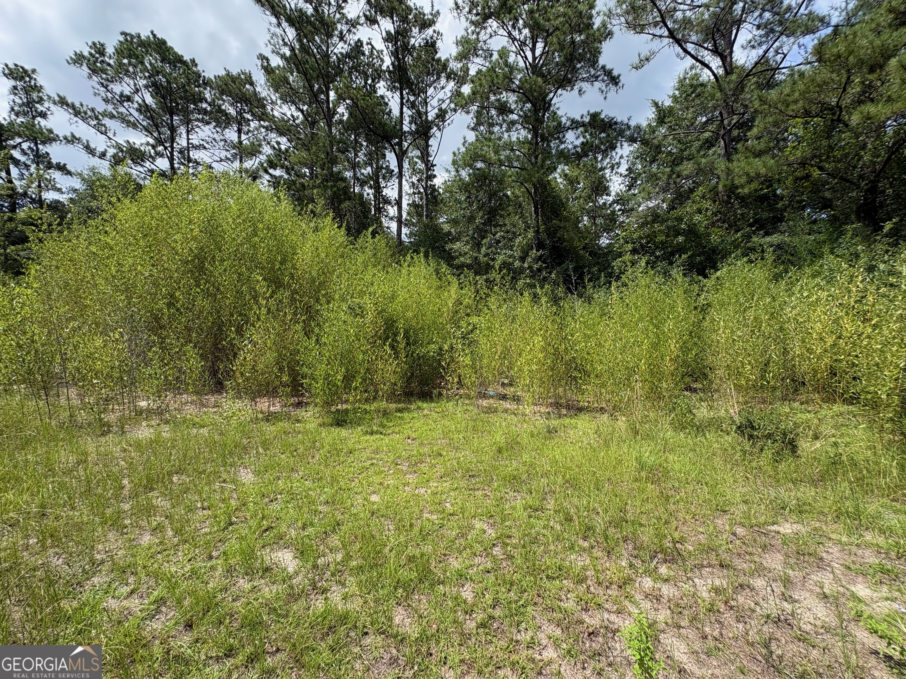 4089 Jordan Road Property Photo 15