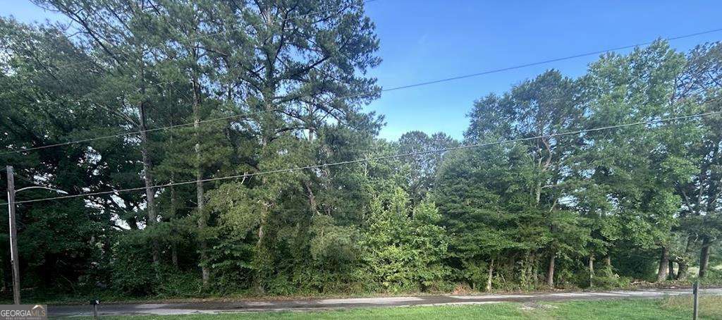 0 Williams Street Property Photo 2
