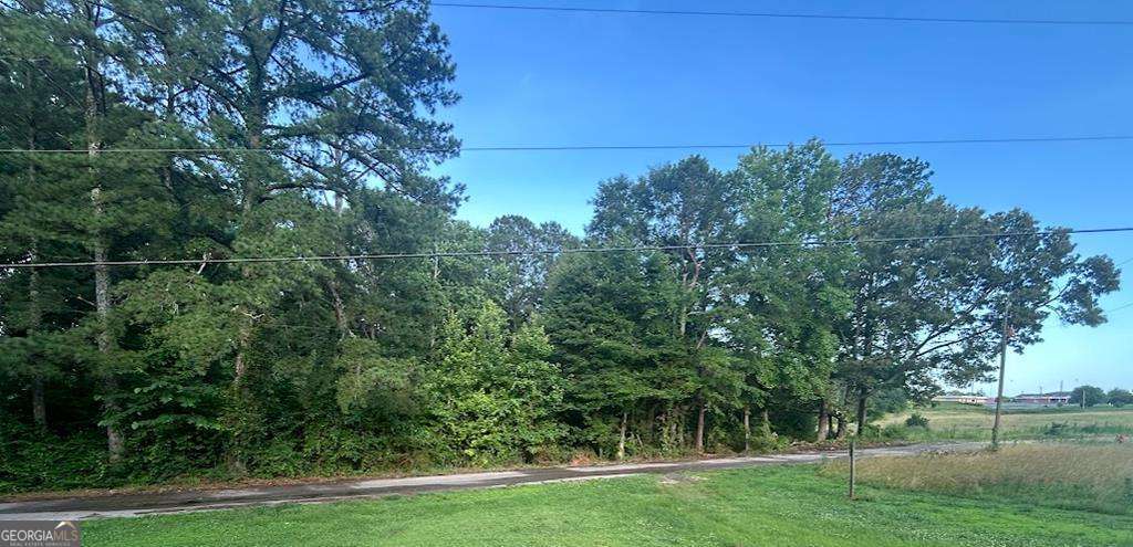 0 Williams Street Property Photo 3