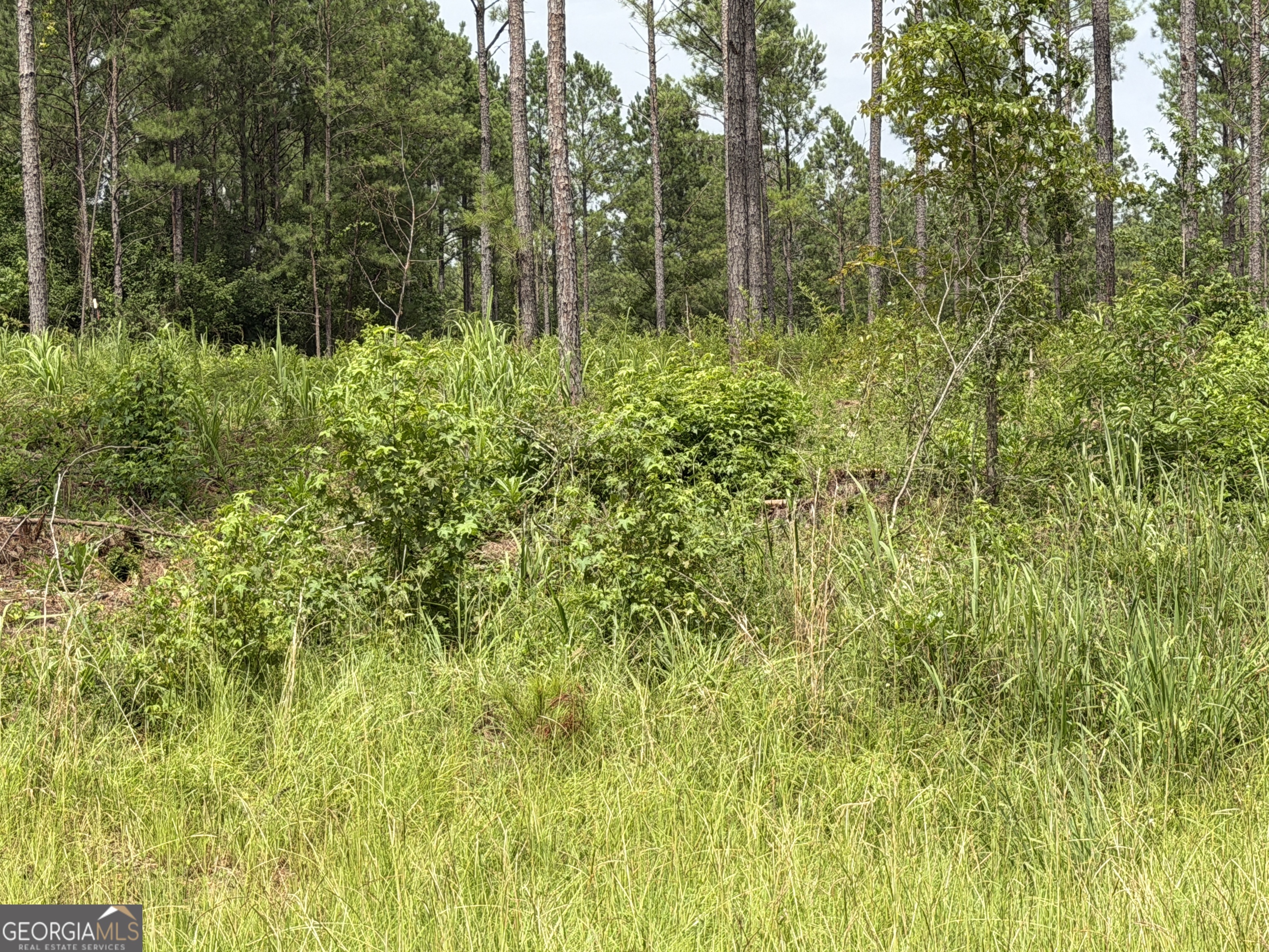 007 Old Monticello Road Property Photo 1