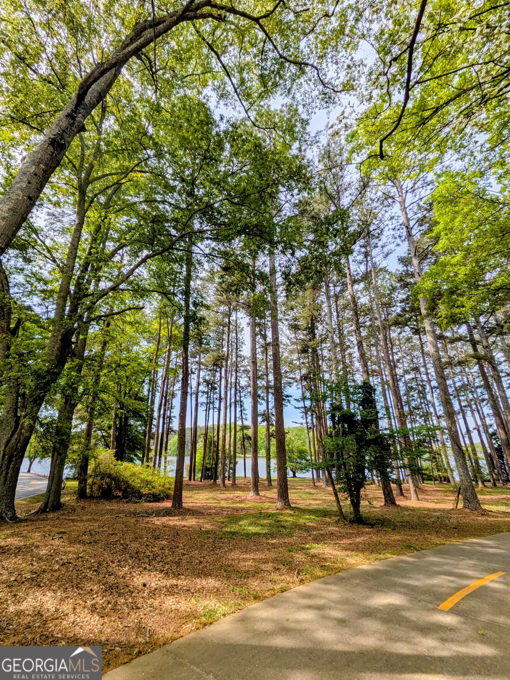 146 Chaucer Lane Lot 74 Property Photo 36