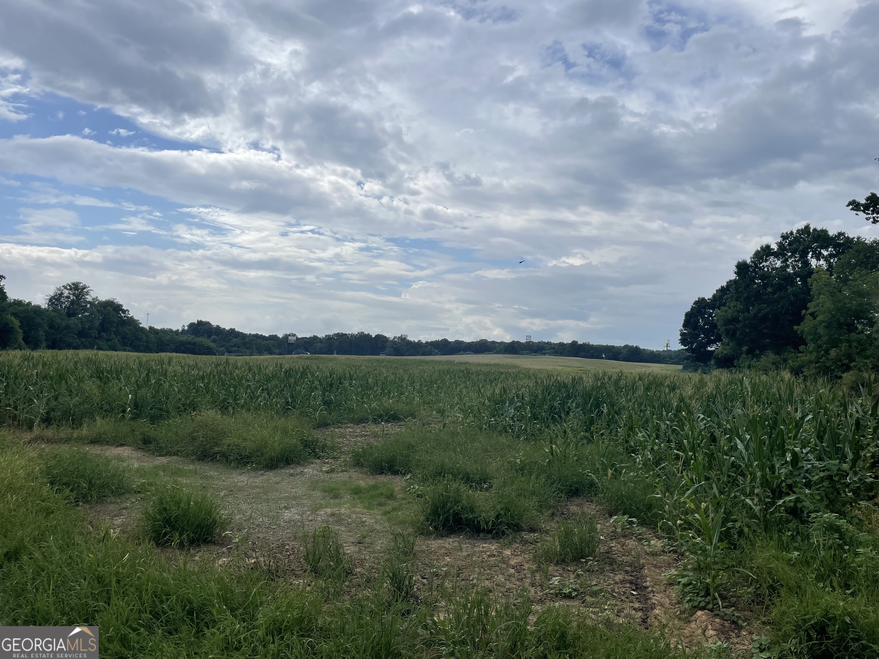 12684 Highway 59 Property Photo 16
