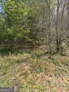 390 Fields Road Property Photo 5