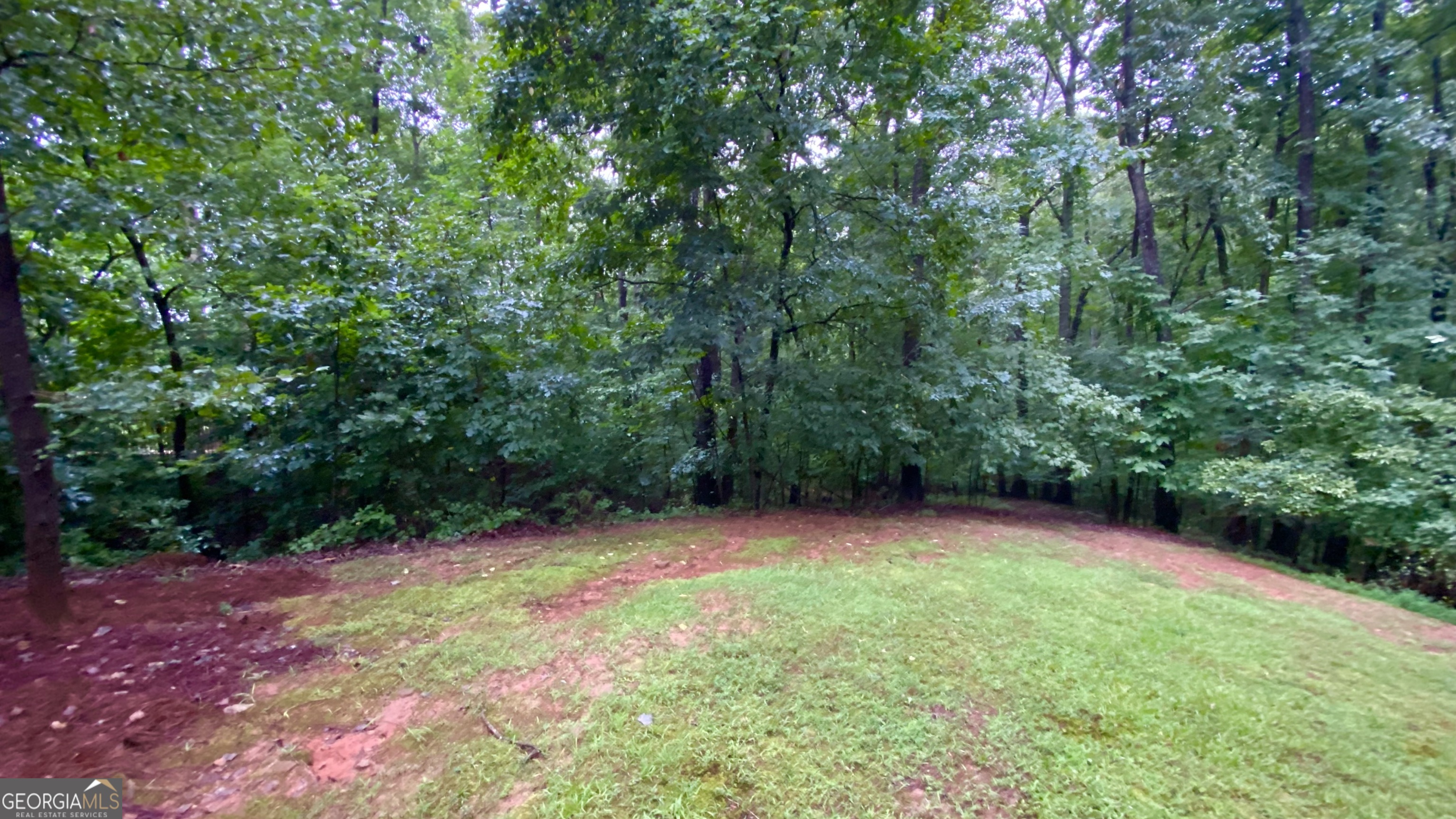 5660 Chestatee Landing Drive Property Photo 52