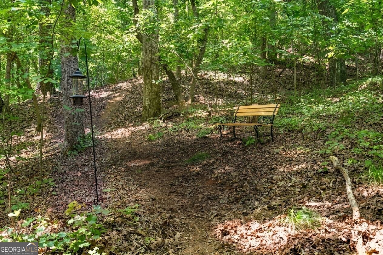 5660 Chestatee Landing Drive Property Photo 54