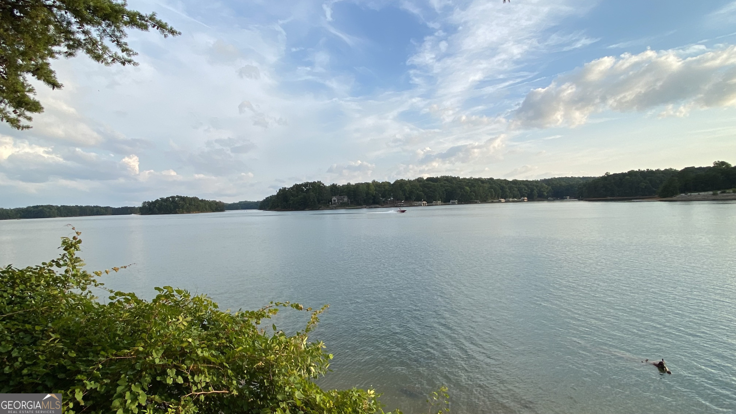 5660 Chestatee Landing Drive Property Photo 82