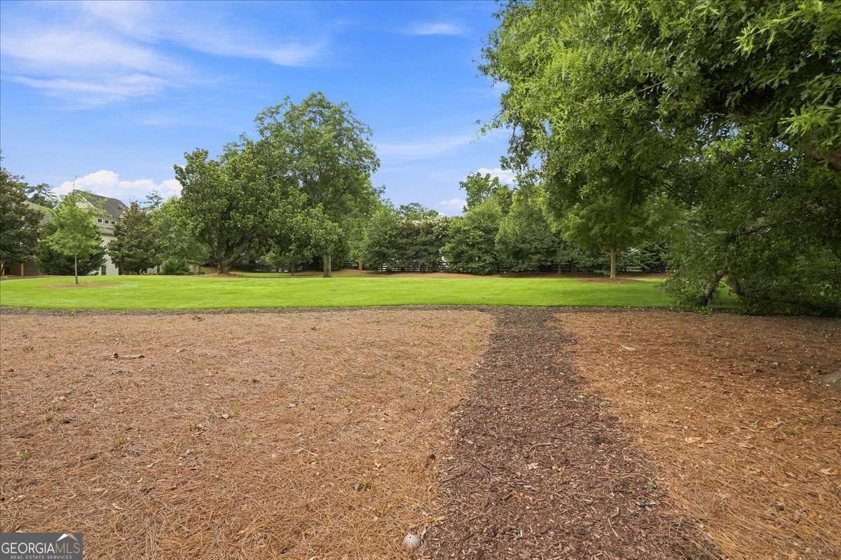 12900 Cogburn Overlook Property Photo 57