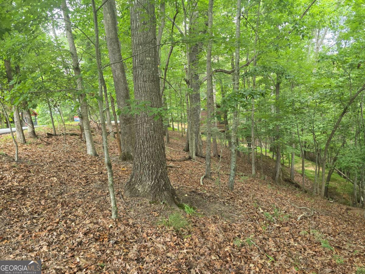 Lot 476 Riverview Drive Property Photo 1
