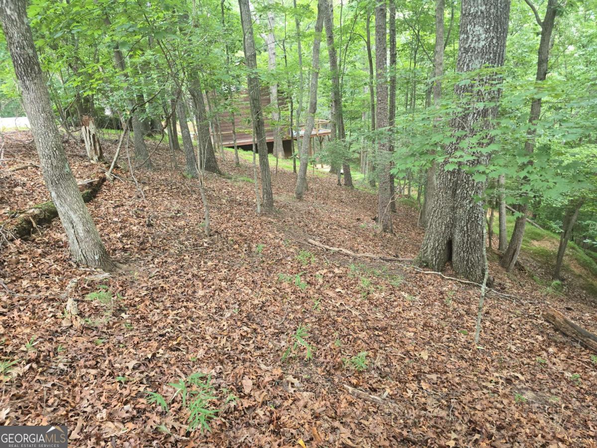 Lot 476 Riverview Drive Property Photo 2