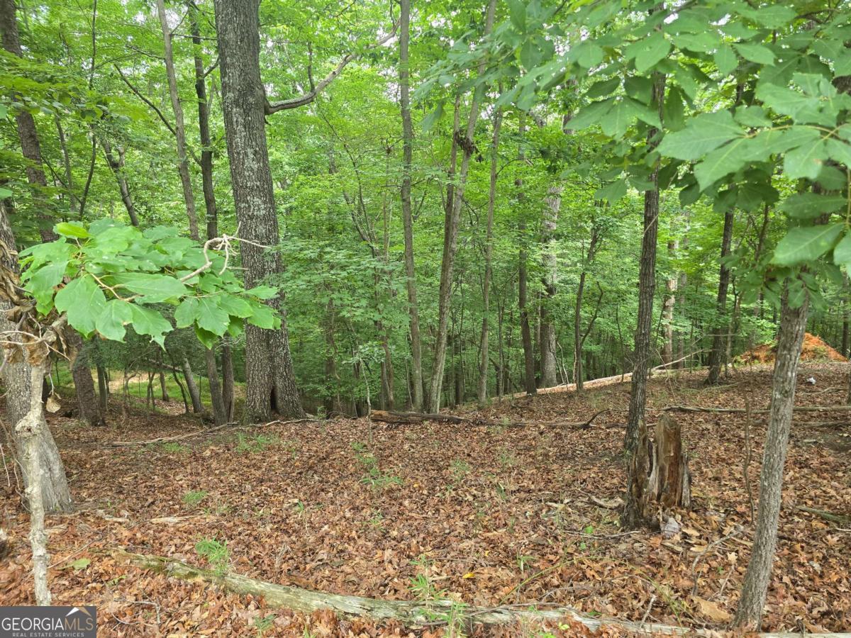 Lot 476 Riverview Drive Property Photo 3
