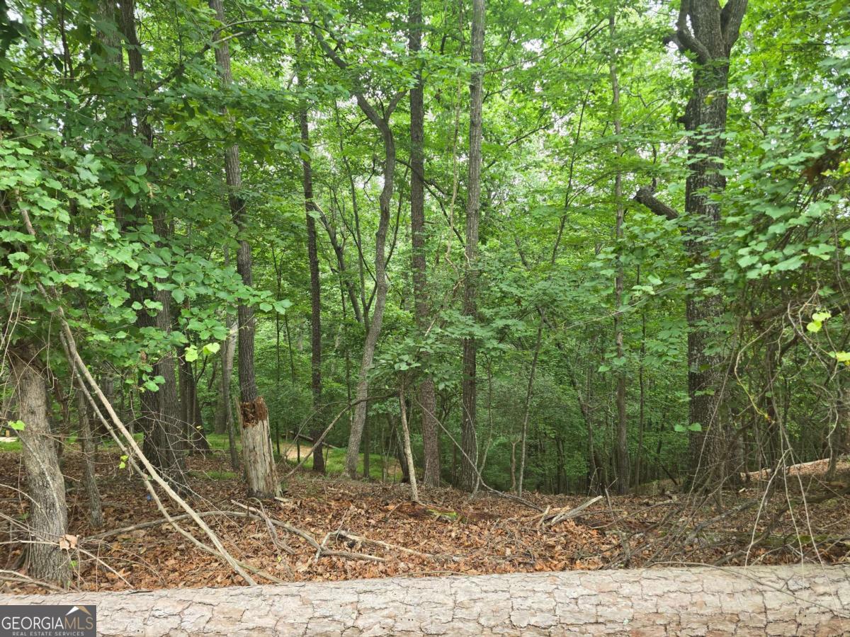 Lot 476 Riverview Drive Property Photo 4