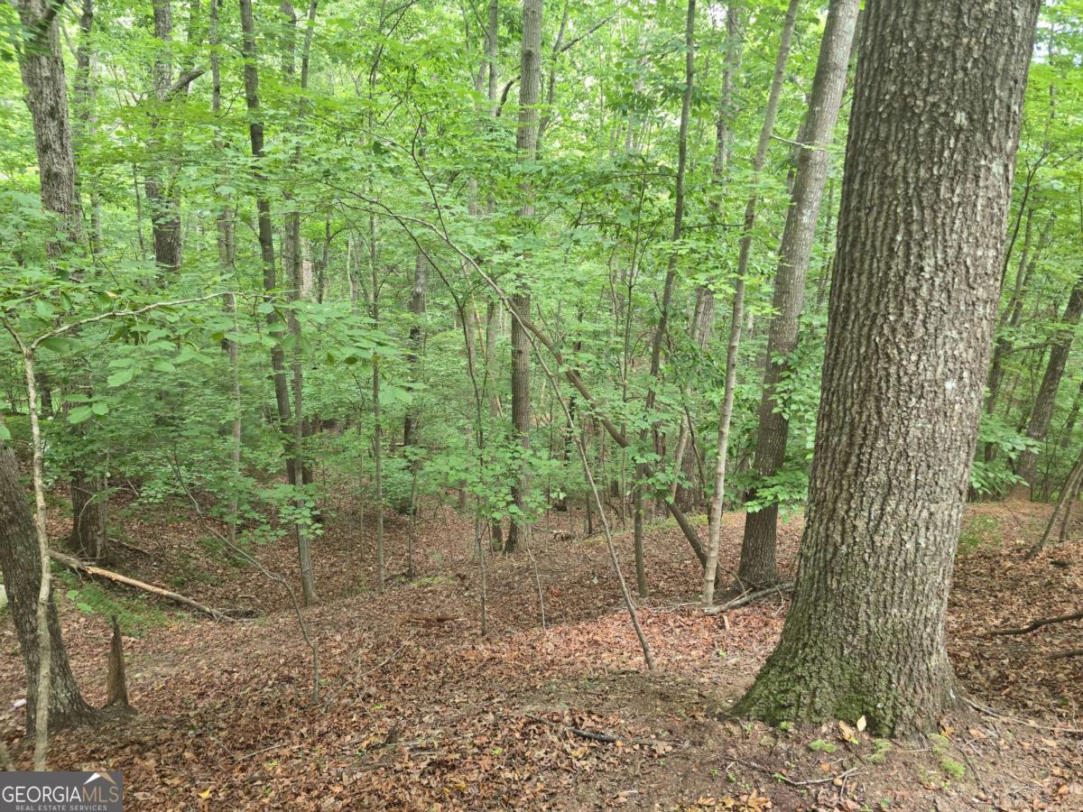 Lot 476 Riverview Drive Property Photo 5