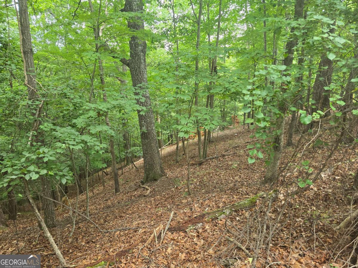 Lot 476 Riverview Drive Property Photo 6