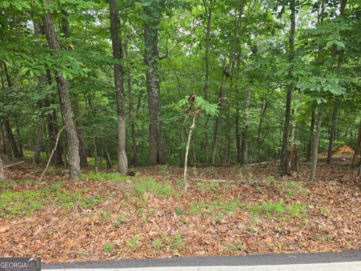 Lot 476 Riverview Drive Property Photo 7