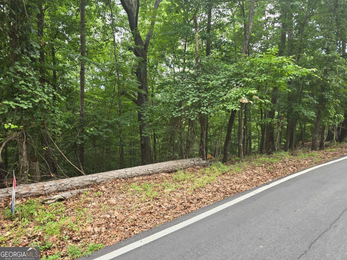 Lot 476 Riverview Drive Property Photo 8