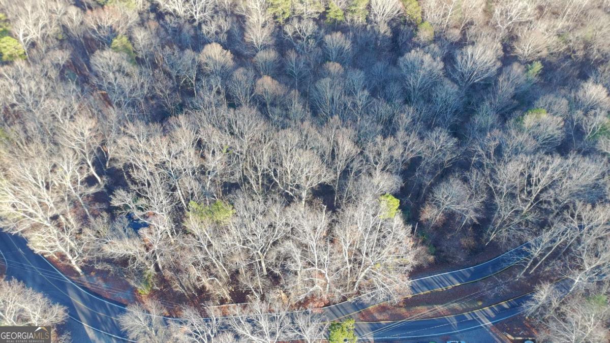 Lot 476 Riverview Drive Property Photo 10