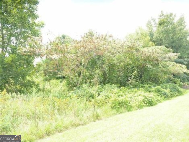 0 Gunn Road Property Photo 2
