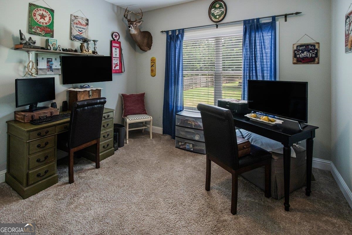 162 Alexander Lakes Drive Property Photo 27