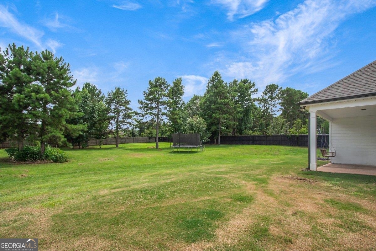 162 Alexander Lakes Drive Property Photo 35