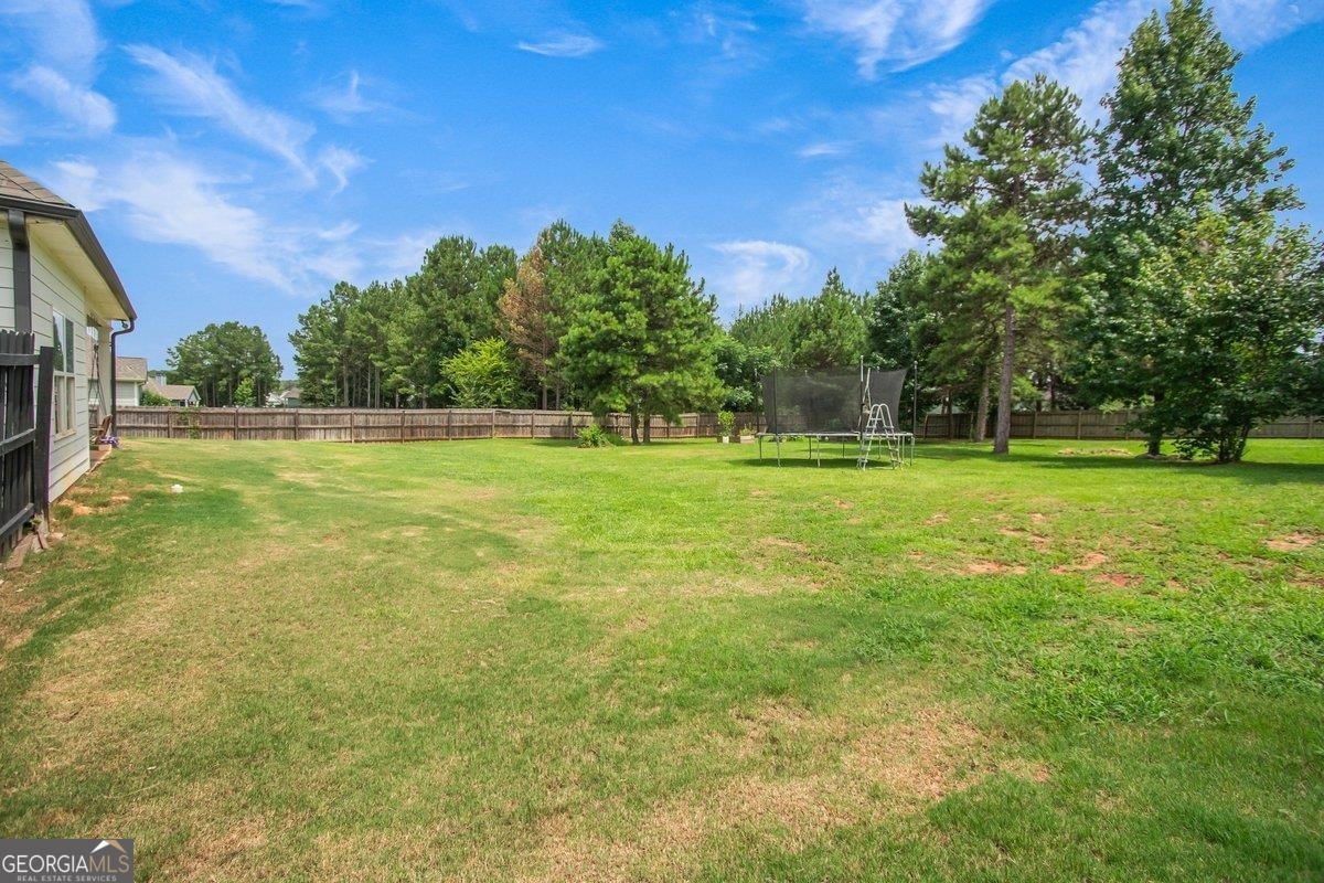 162 Alexander Lakes Drive Property Photo 36