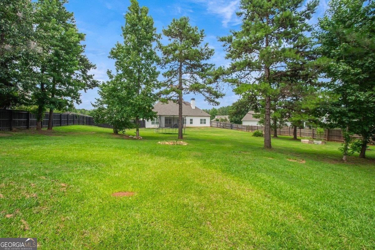 162 Alexander Lakes Drive Property Photo 37