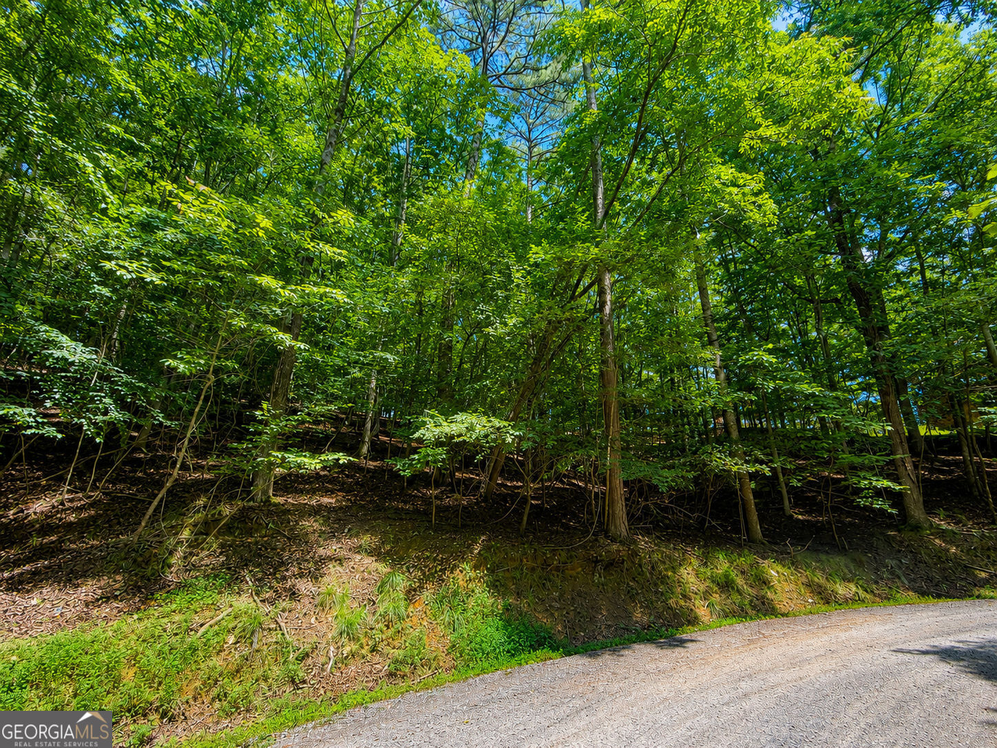 Lot730 Dawn Lane Property Photo 8