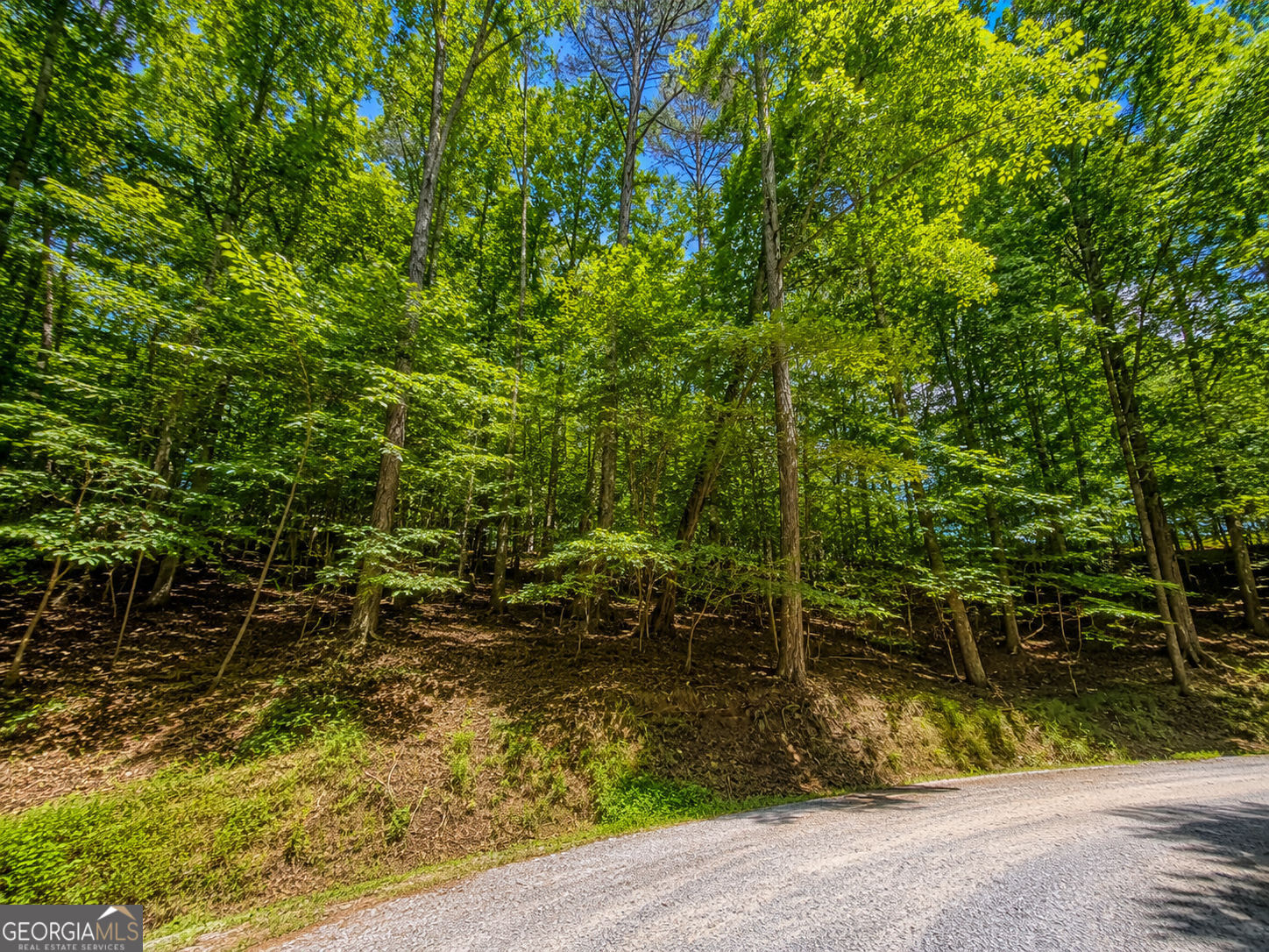 Lot730 Dawn Lane Property Photo 9