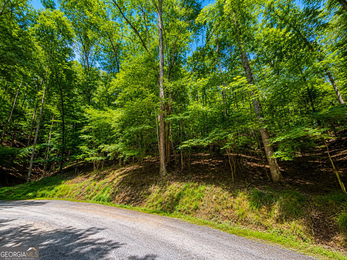 Lot730 Dawn Lane Property Photo 11