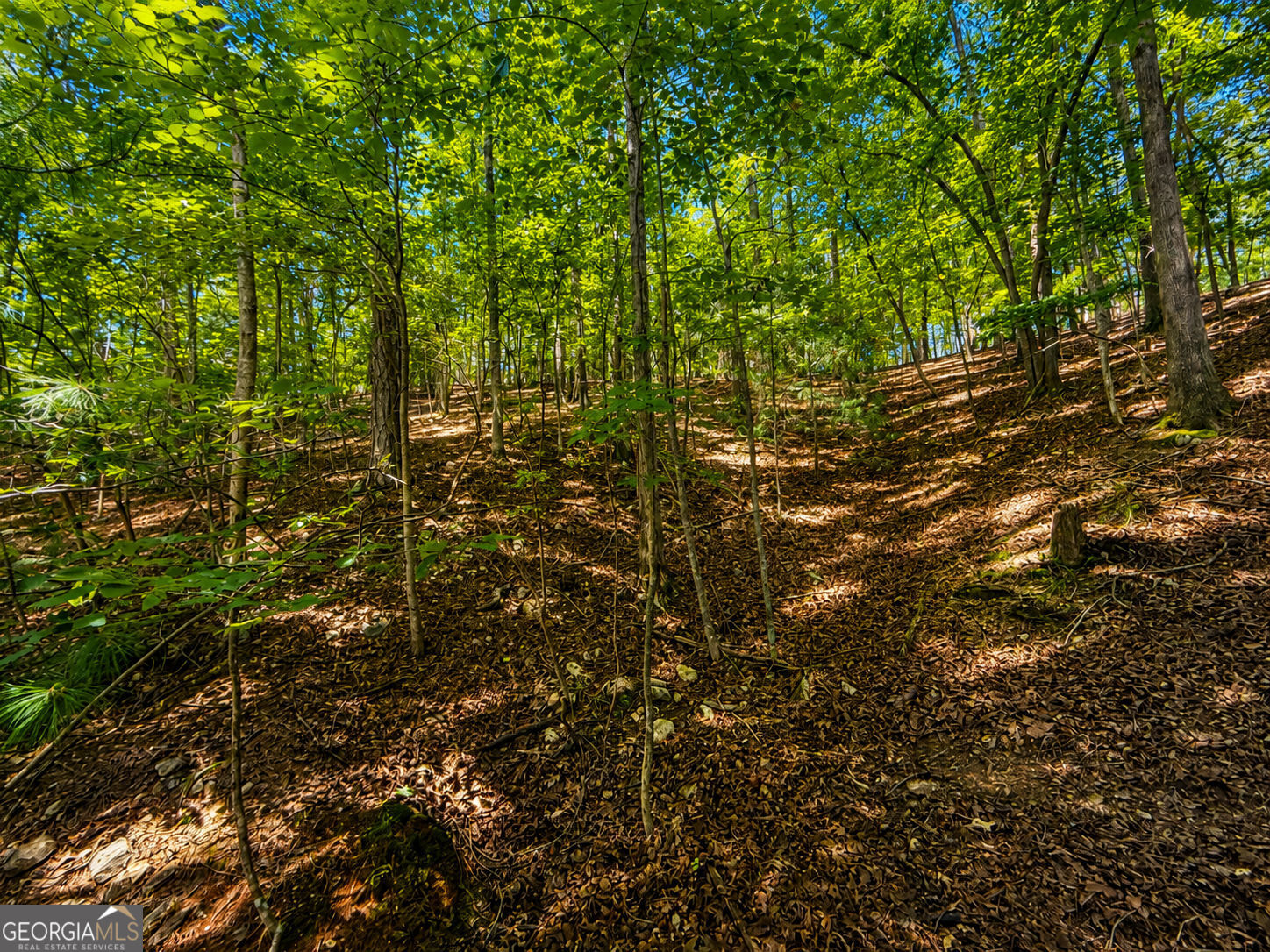 Lot730 Dawn Lane Property Photo 12