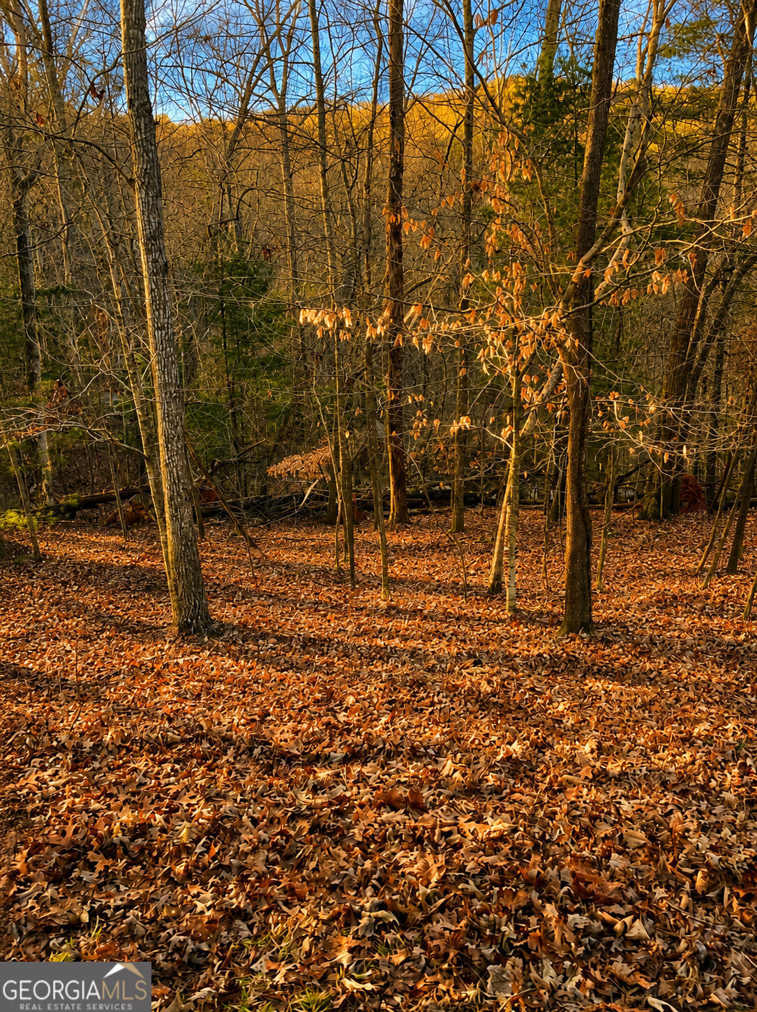 Lot730 Dawn Lane Property Photo 13