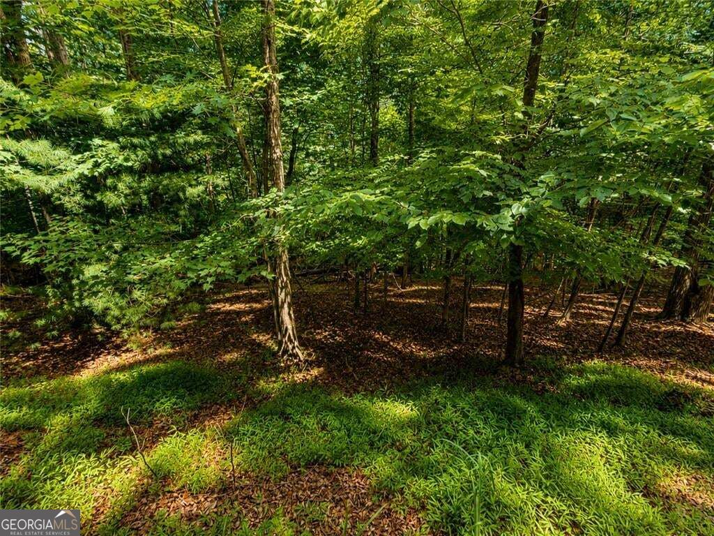 Lot674 Riverview Drive Property Photo 9