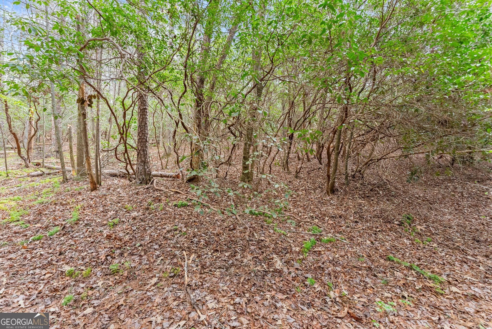 Lot 22 Soque Falls Circle Property Photo 14