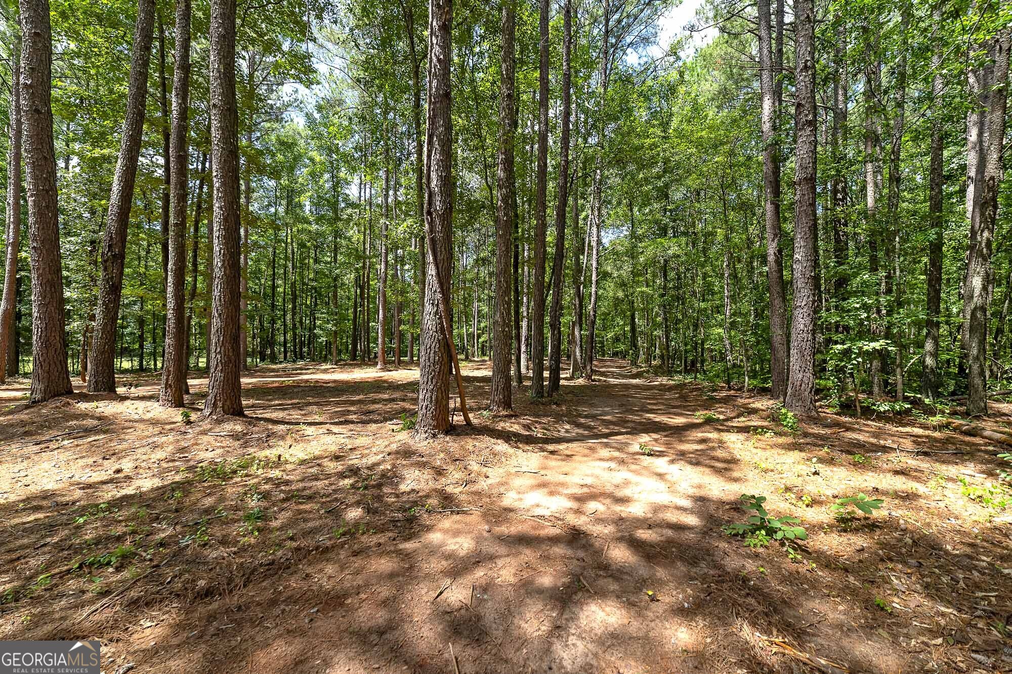 548 Barnesville Road Property Photo 34
