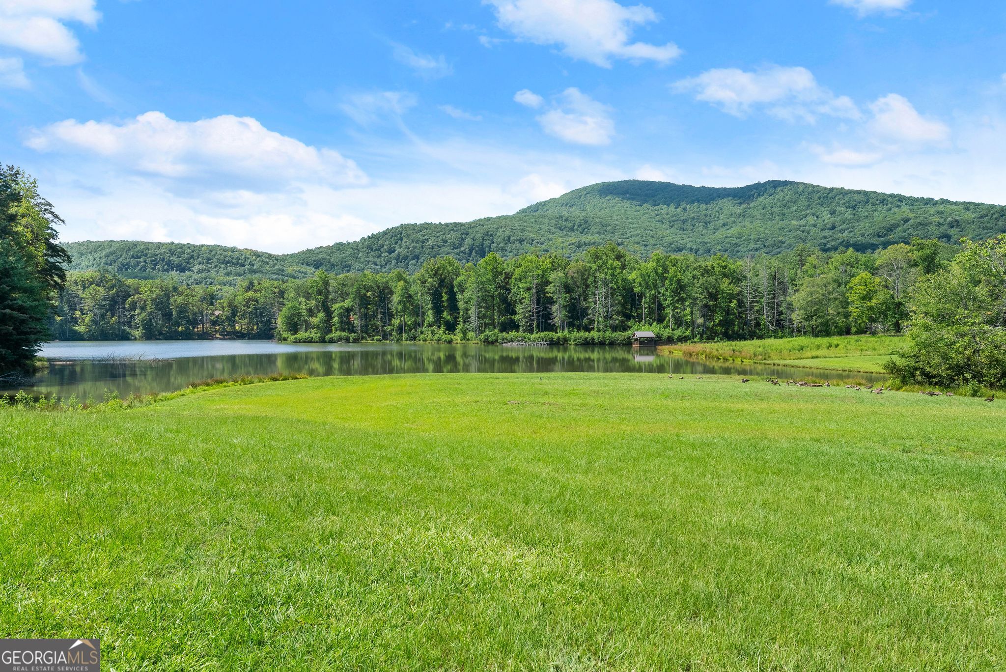 0 Yonah Lake Drive Property Photo 13