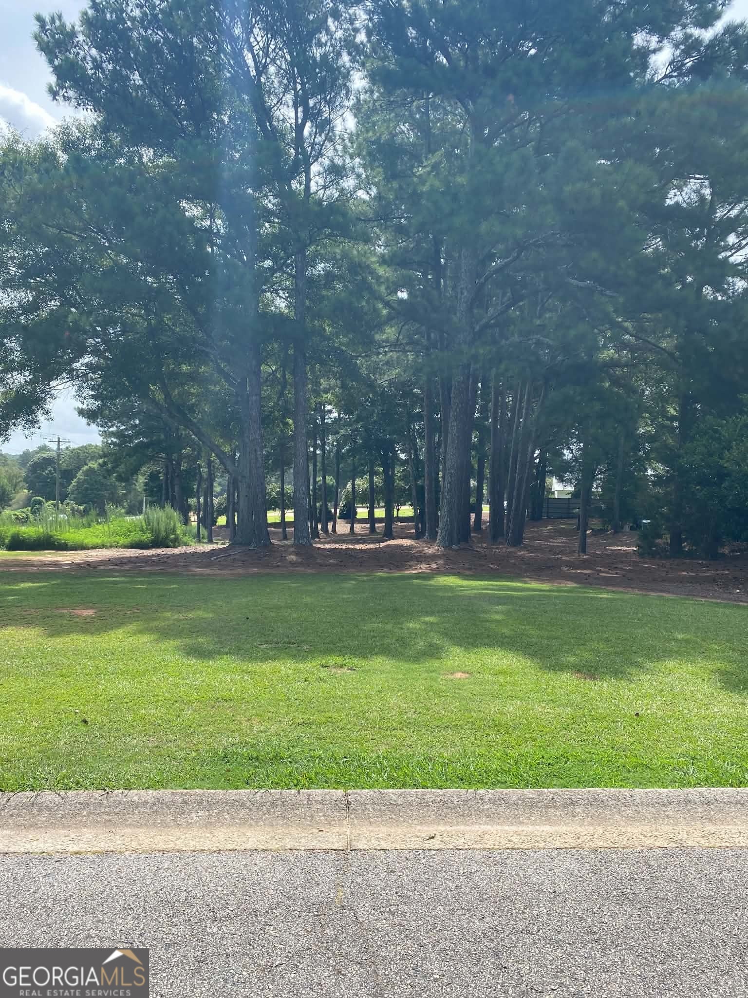 0 Magnolia Drive Property Photo 2
