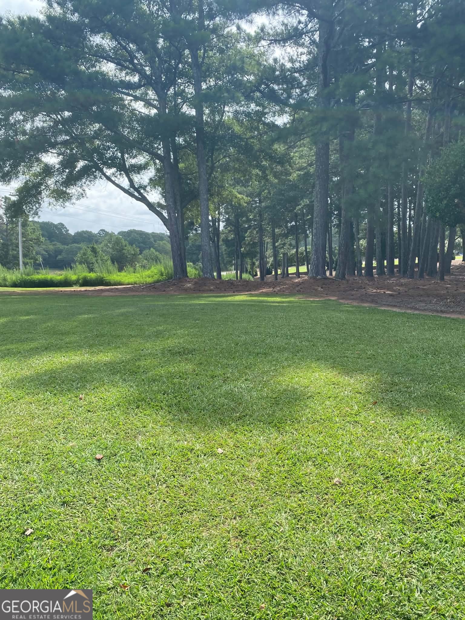 0 Magnolia Drive Property Photo 4
