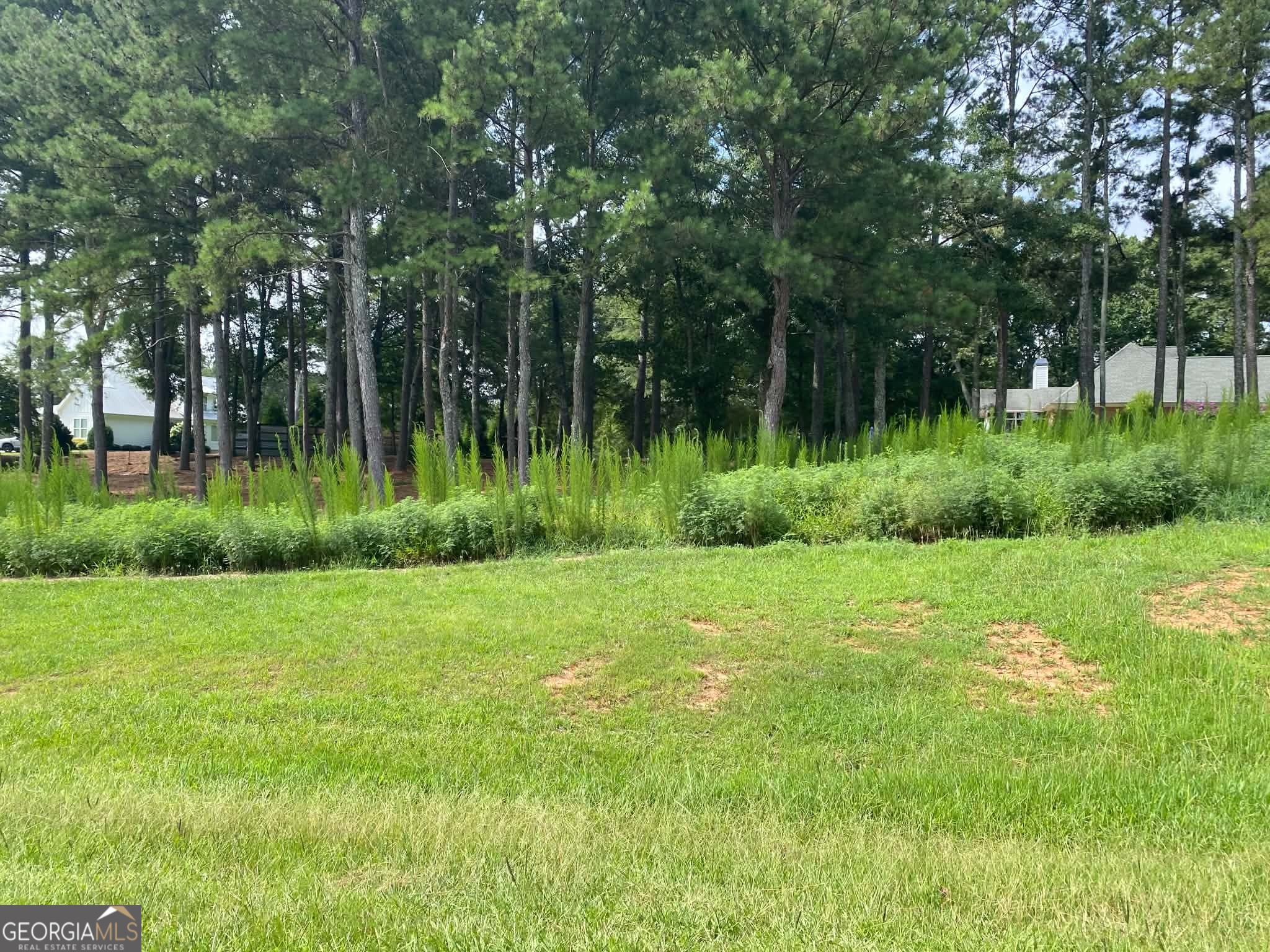 0 Magnolia Drive Property Photo 6