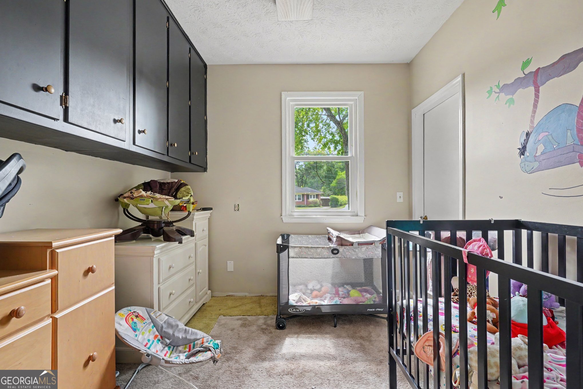 1019 E College Street Property Photo 17