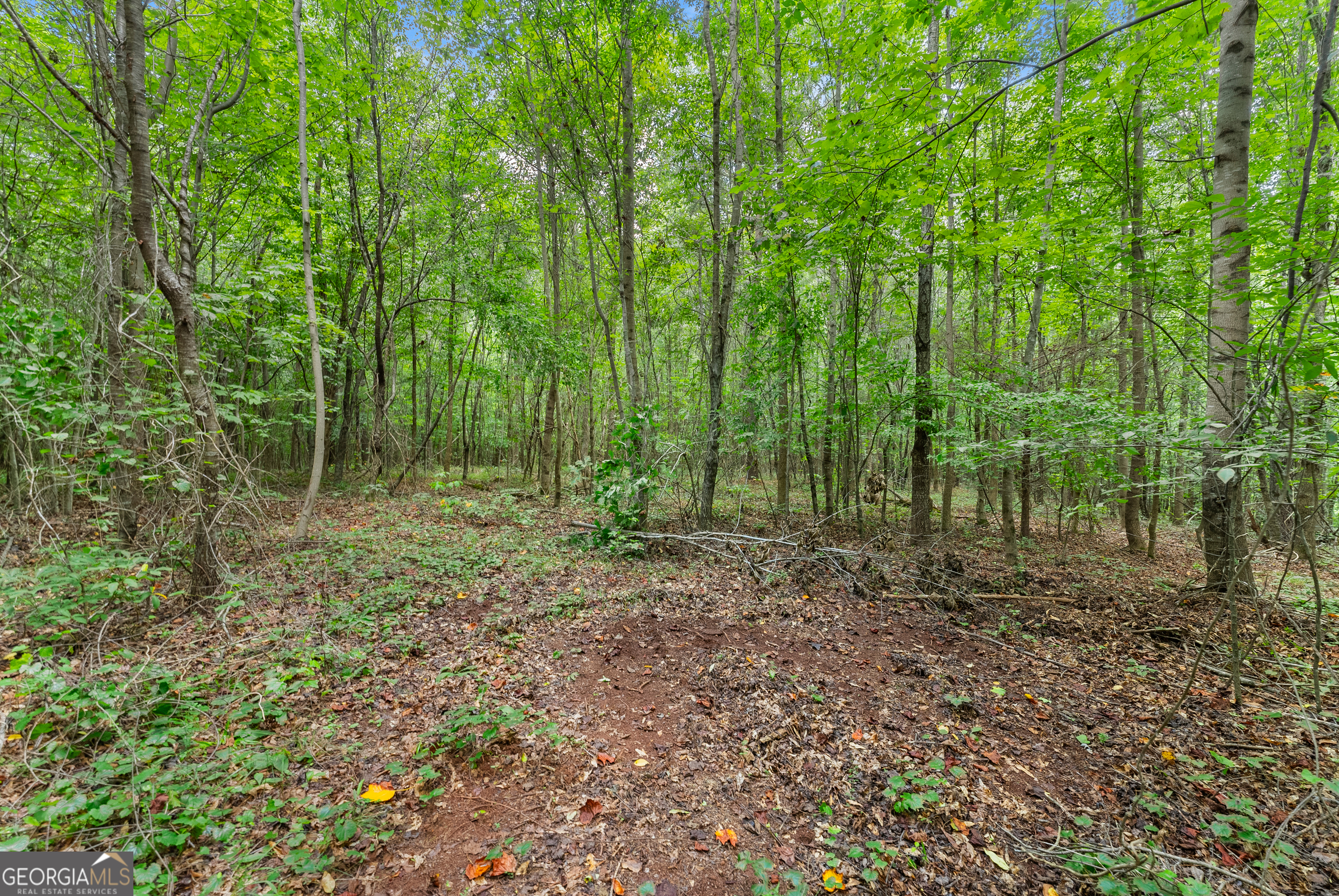 0 Freedom Lane # 18c Property Photo 15